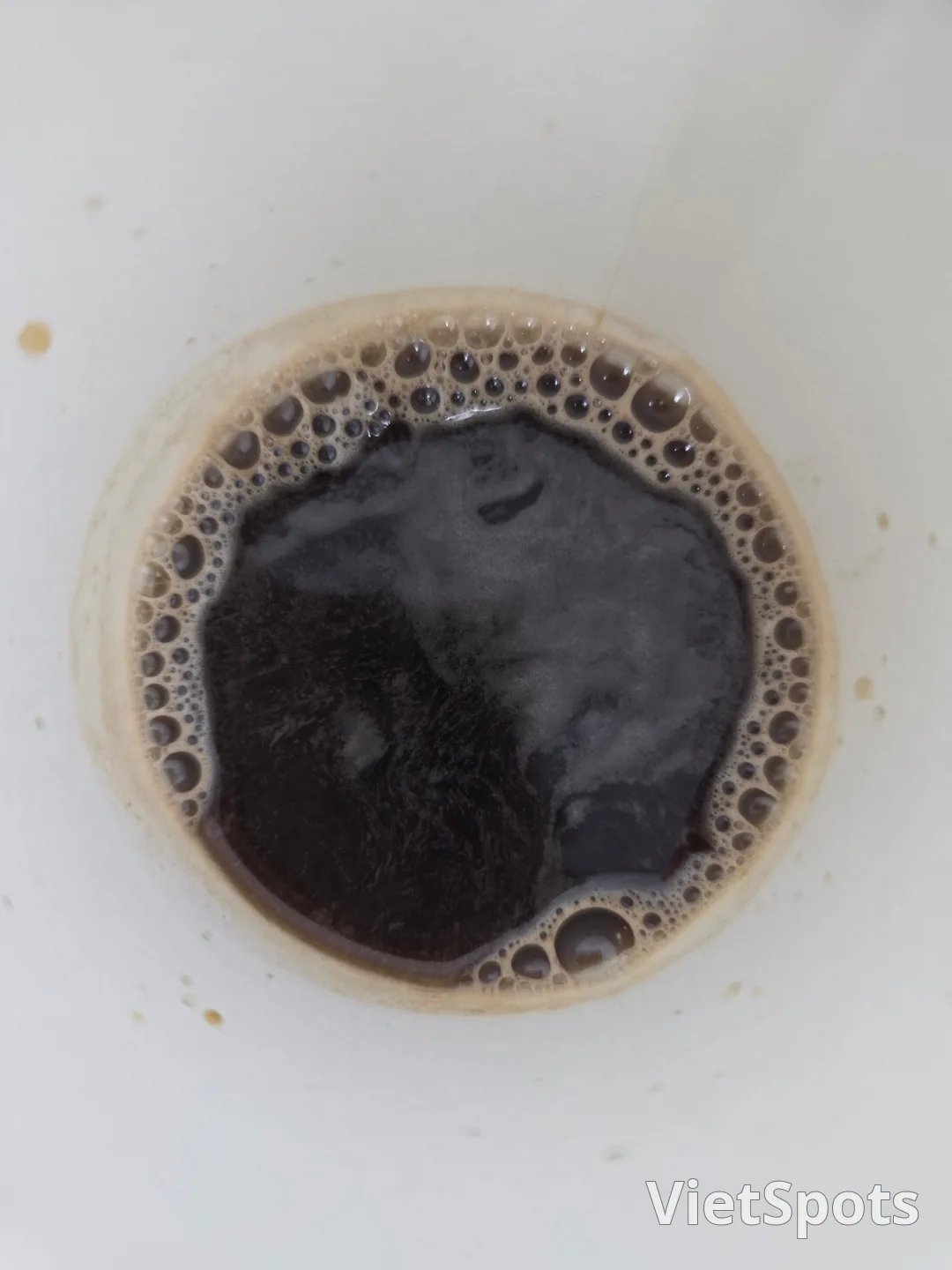今天的咖啡☕️