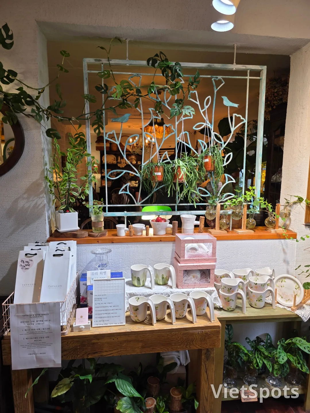 🇰🇷A charming and pretty cafe~ Rose Stella Garden