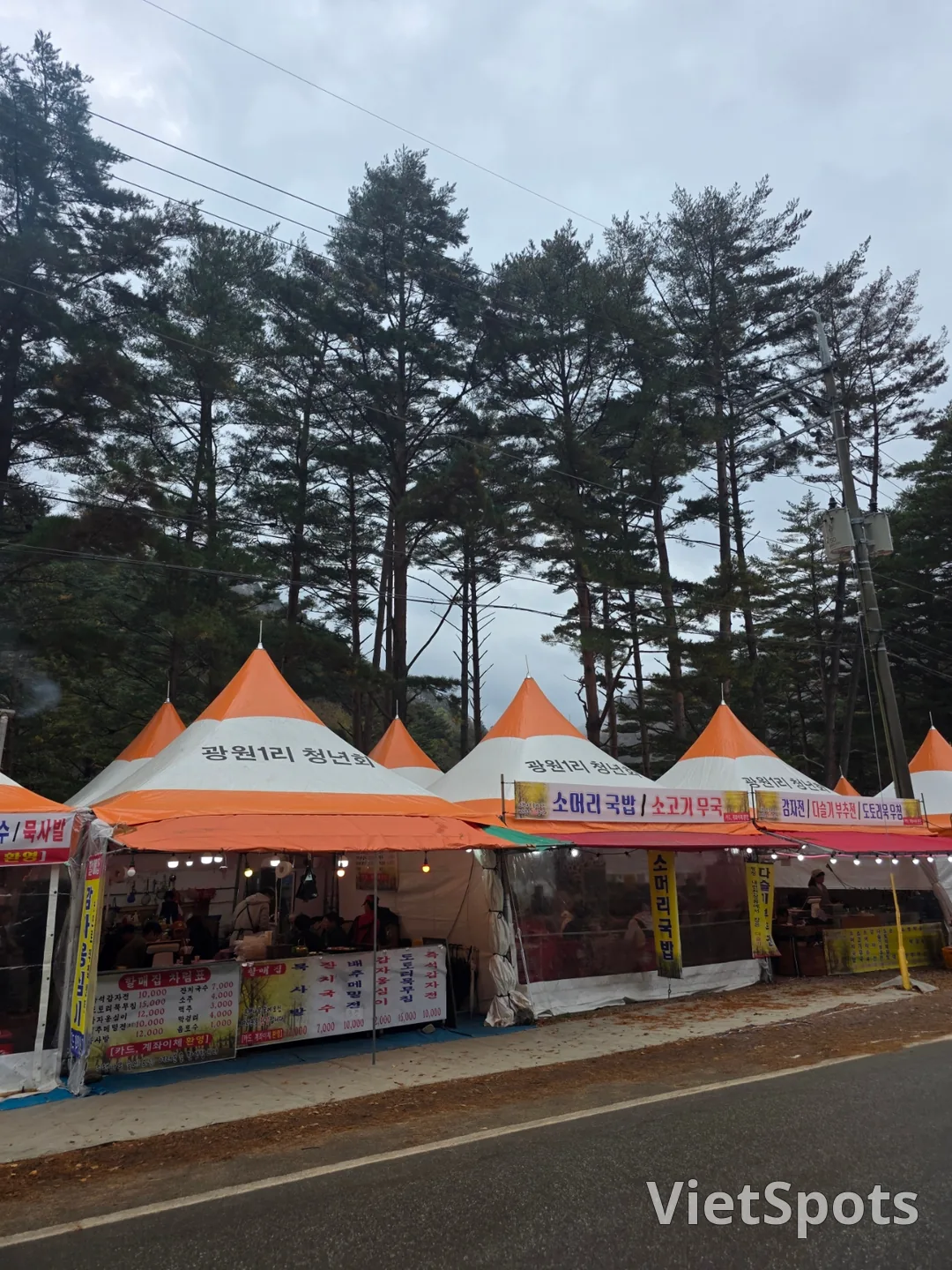 🇰🇷 洪川银杏树林