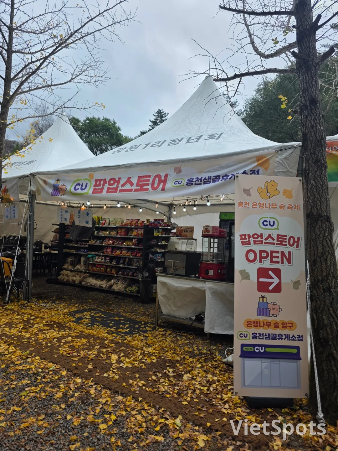 🇰🇷 洪川银杏树林