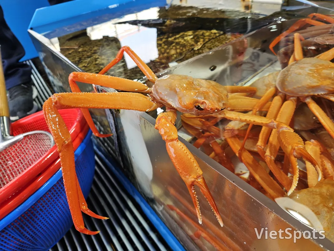 🇰🇷 Hãy để tôi sống sót trước đã 🦀 🦀 🦀