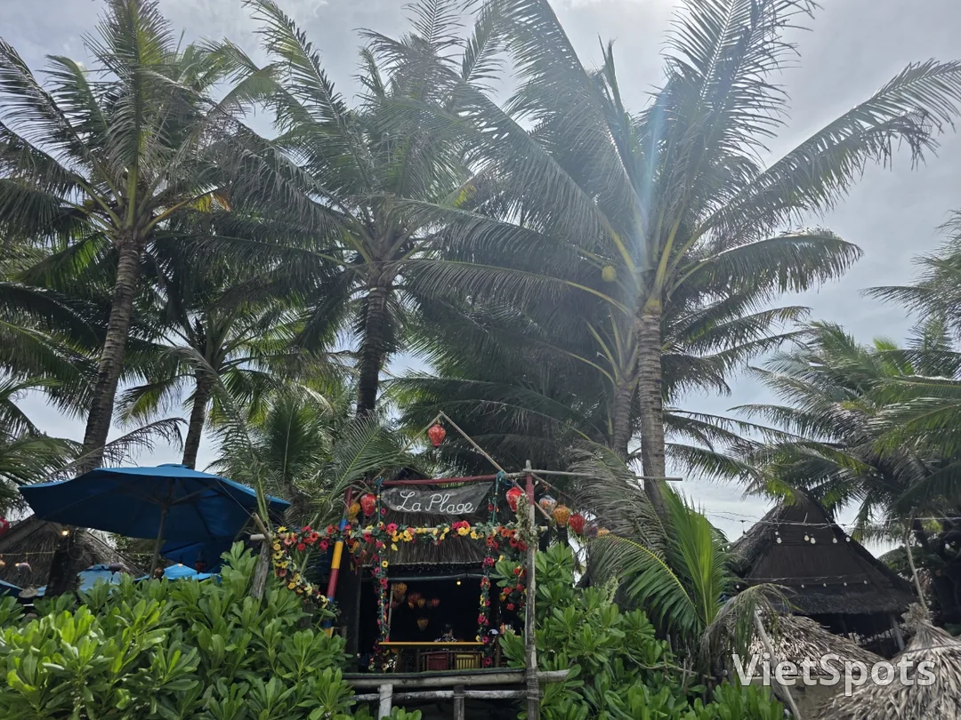 🇻🇳 La Plage~ Mình tìm đến vì hương vị này