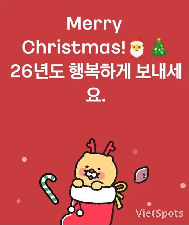 🎄 岘港当地的圣诞老人们来过了呢 🎅 🤶