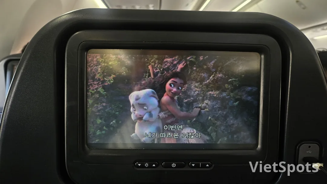 ðŠðºã¡ã«ãã«ã³ãã·ãããŒåœå
ç·âïž ããã·ã§ã³æåâïž