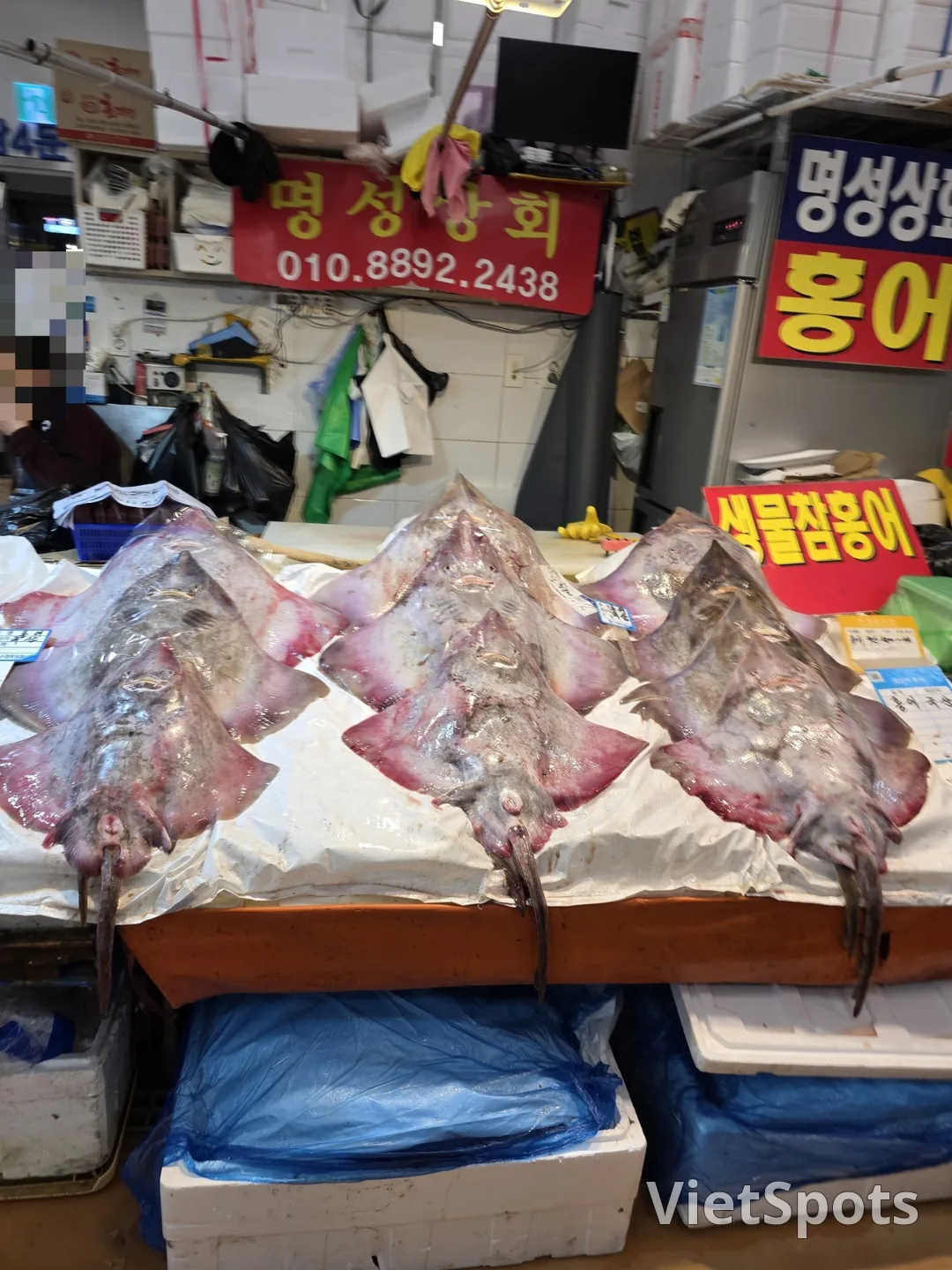 🇰🇷नोरयांगजिन मछली बाज़ार एक जीवंत, सांस लेता हुआ समुद्र है🚢