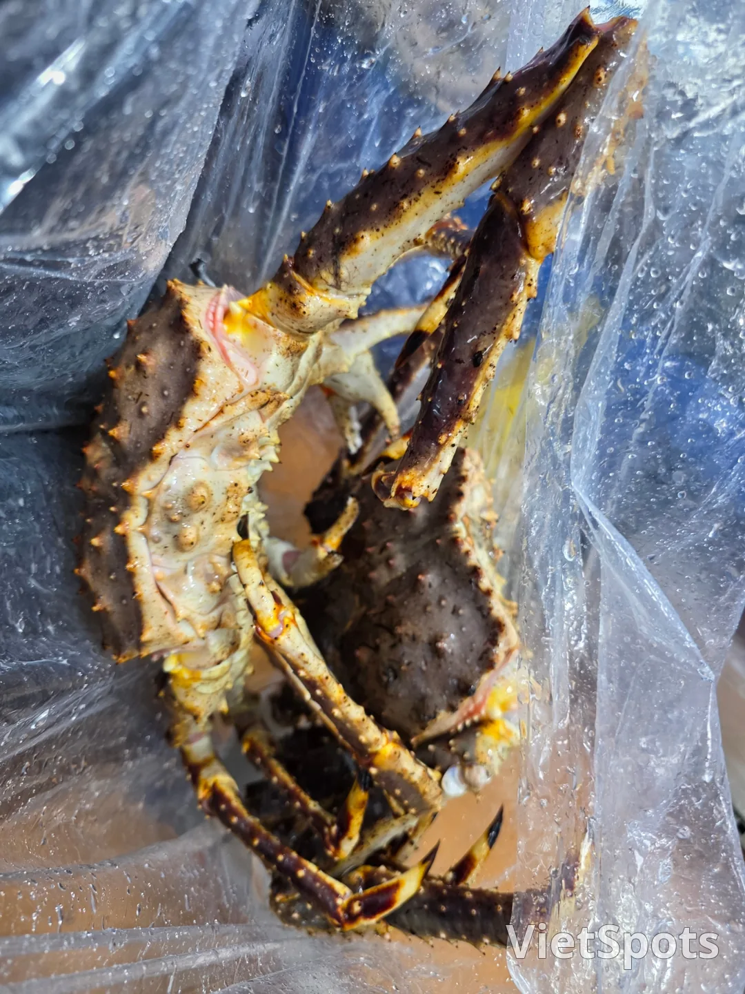 🇰🇷नोरयांगजिन मछली बाज़ार एक जीवंत, सांस लेता हुआ समुद्र है🚢