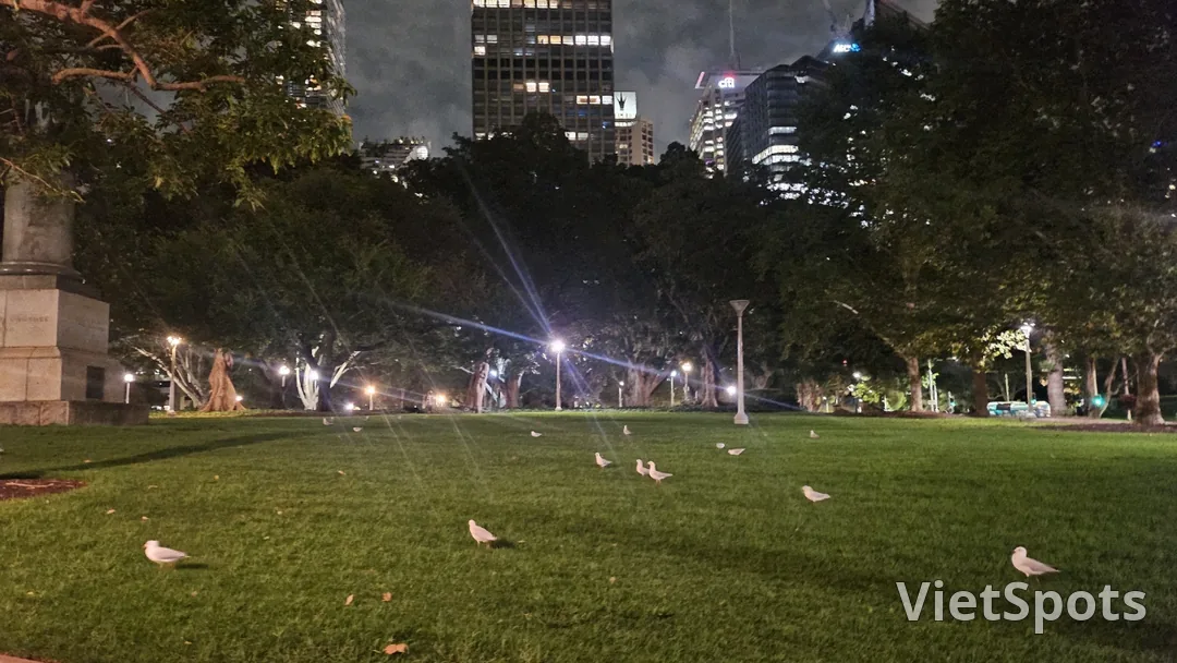 悉尼的第一天,夜景就是一切