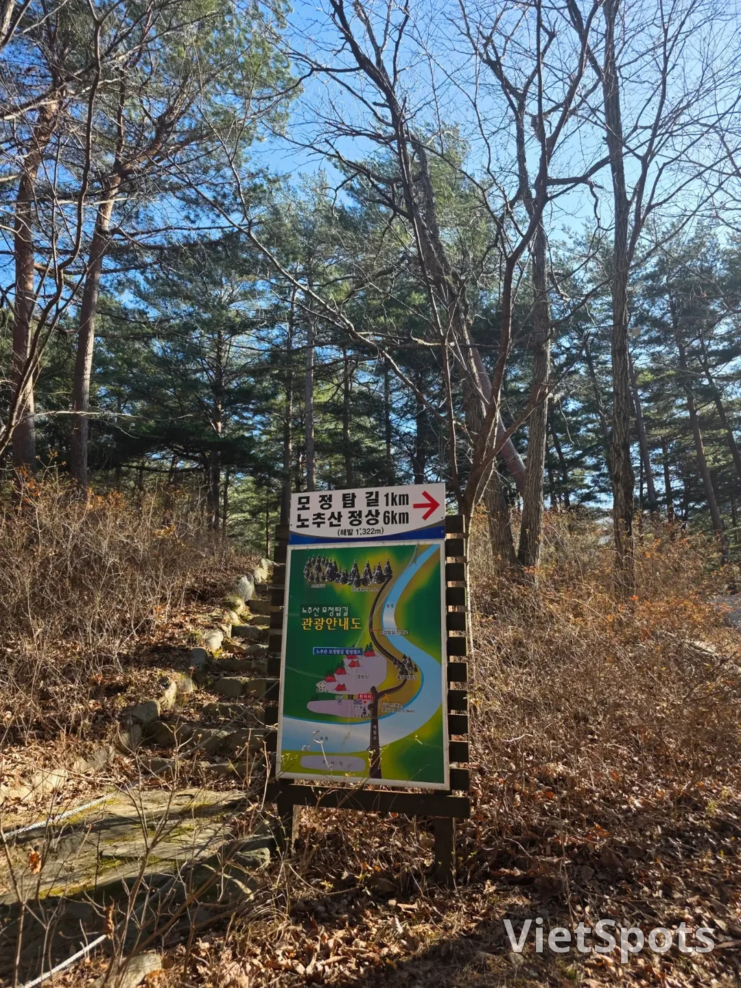 🇰🇷 江陵(カンヌン)・ノチュサン モジョンタプ通り!! 海だけじゃなくて、ここにも絶対行ってみてください!