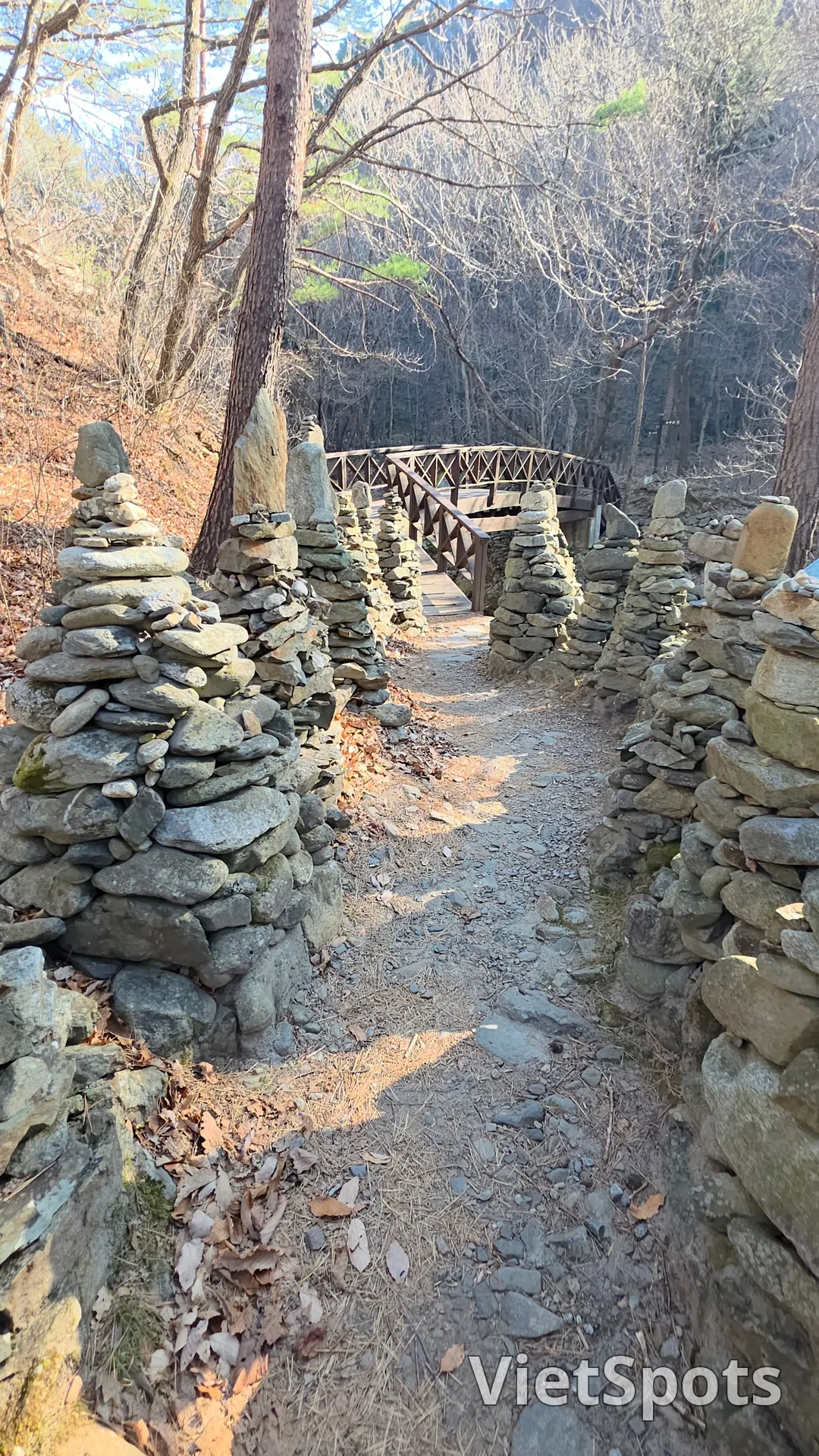 🇰🇷 江陵(カンヌン)・ノチュサン モジョンタプ通り!! 海だけじゃなくて、ここにも絶対行ってみてください!