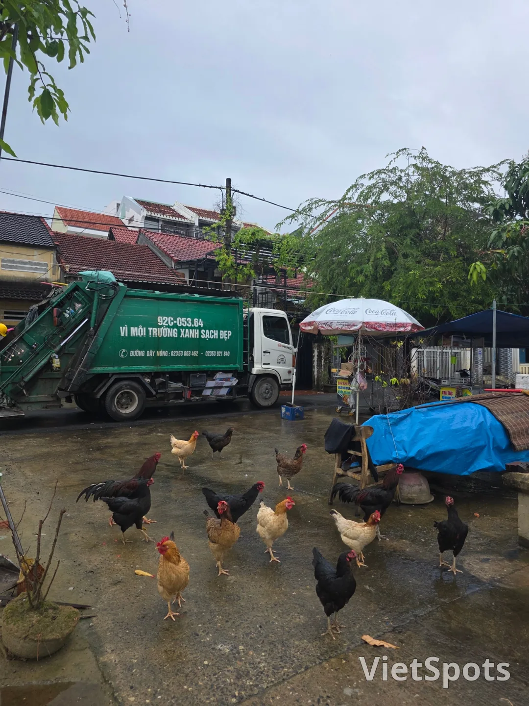 🇻🇳母娘三人のダナン旅行_雨のホイアンの朝の風景