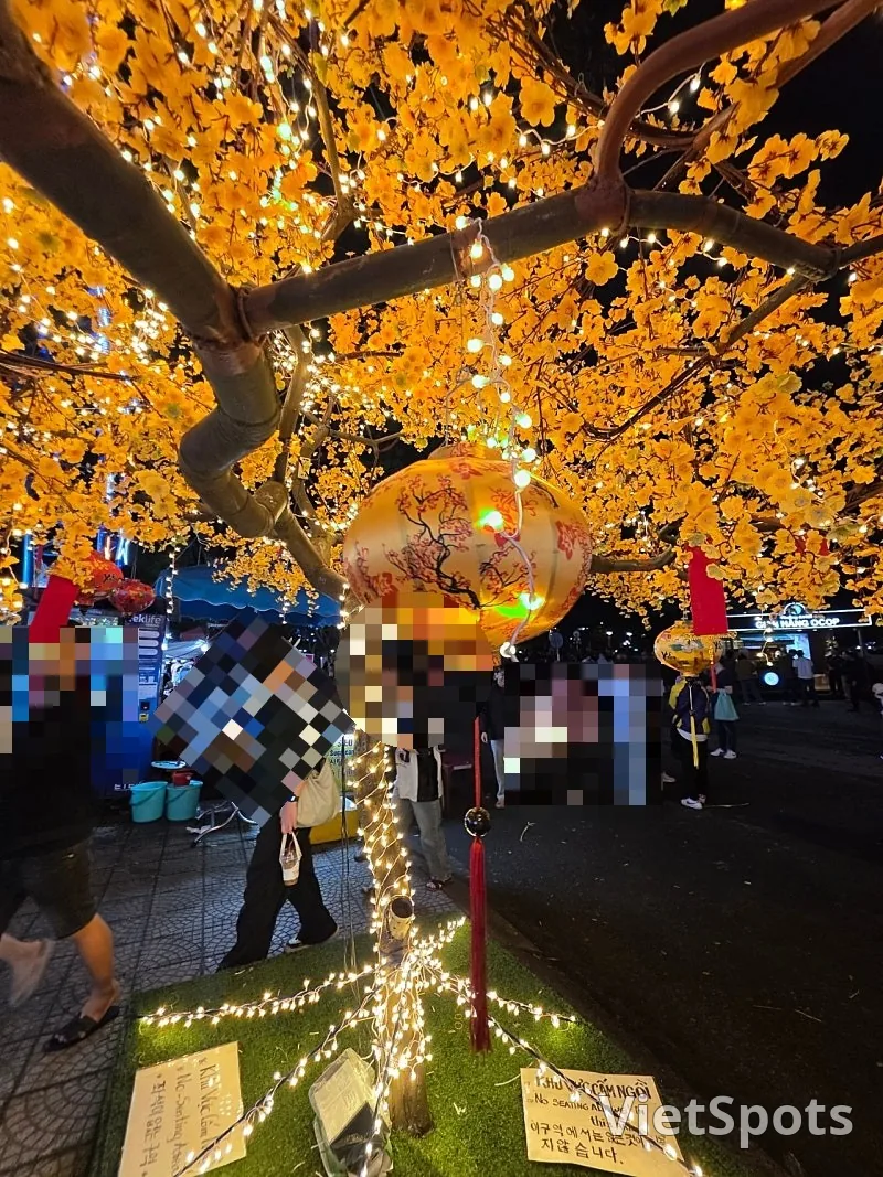 🇻🇳 三代母女岘港之旅_ 搬迁后的山茶市场!变得干净整洁了呢