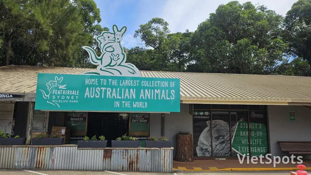 🇦🇺Tổng hợp những người bạn đáng yêu cực phẩm chỉ có thể gặp ở Úc!🐨🦘