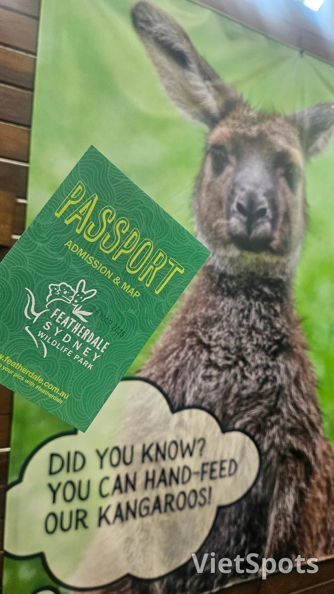 🇦🇺Tổng hợp những người bạn đáng yêu cực phẩm chỉ có thể gặp ở Úc!🐨🦘