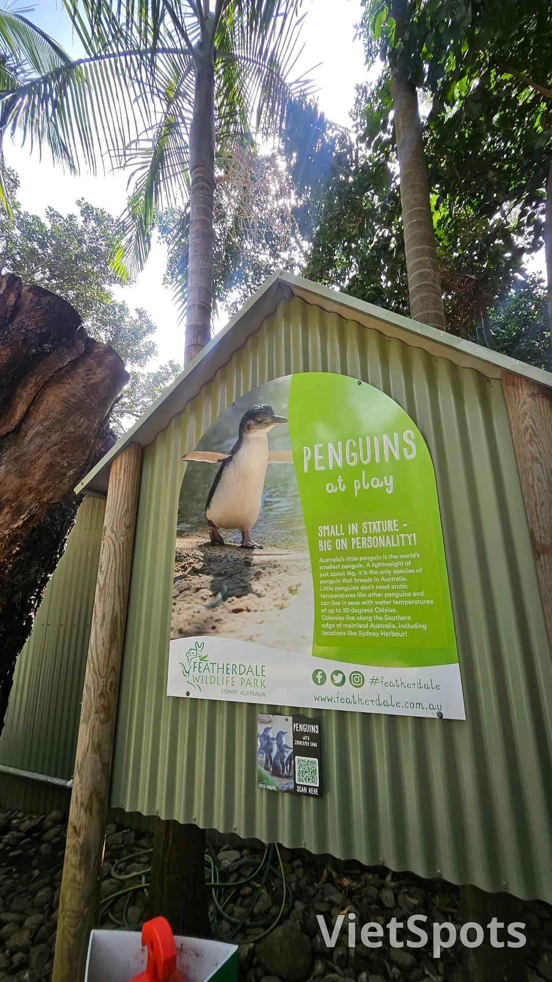 🇦🇺Tổng hợp những người bạn đáng yêu cực phẩm chỉ có thể gặp ở Úc!🐨🦘