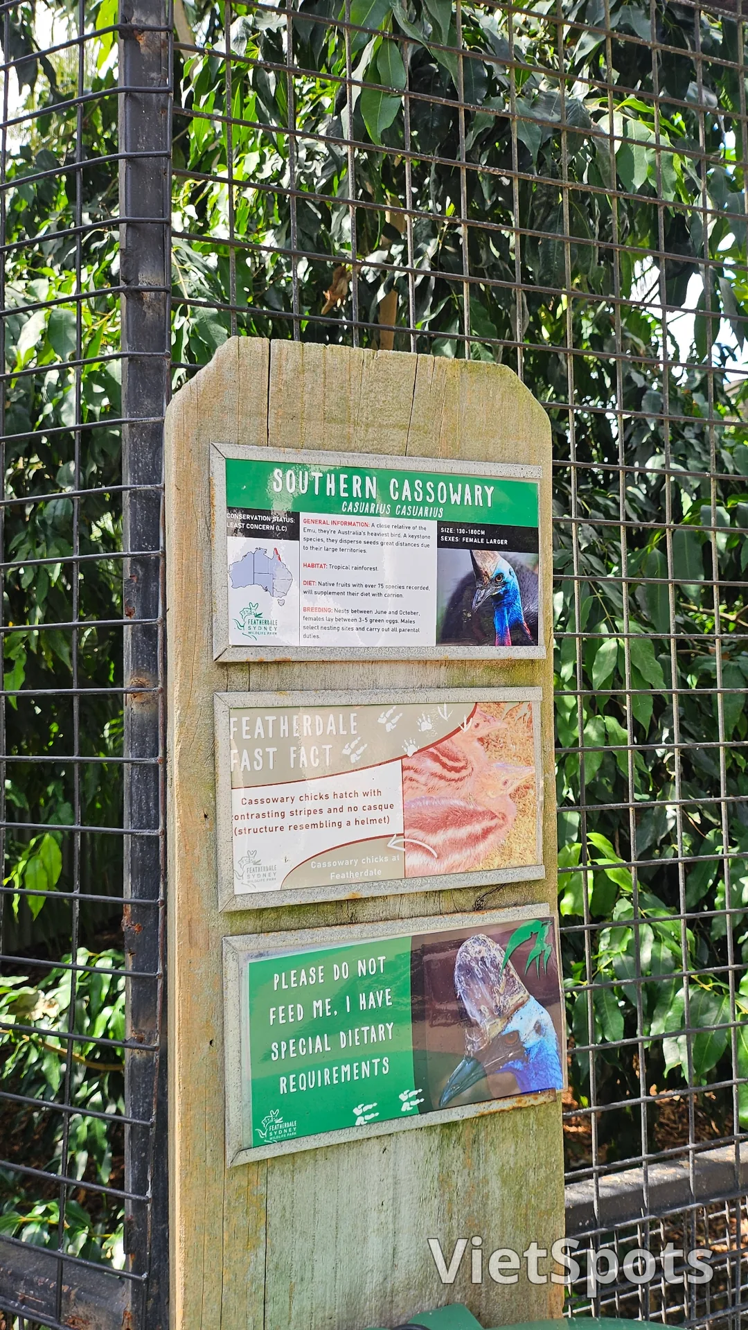 🇦🇺Tổng hợp những người bạn đáng yêu cực phẩm chỉ có thể gặp ở Úc!🐨🦘