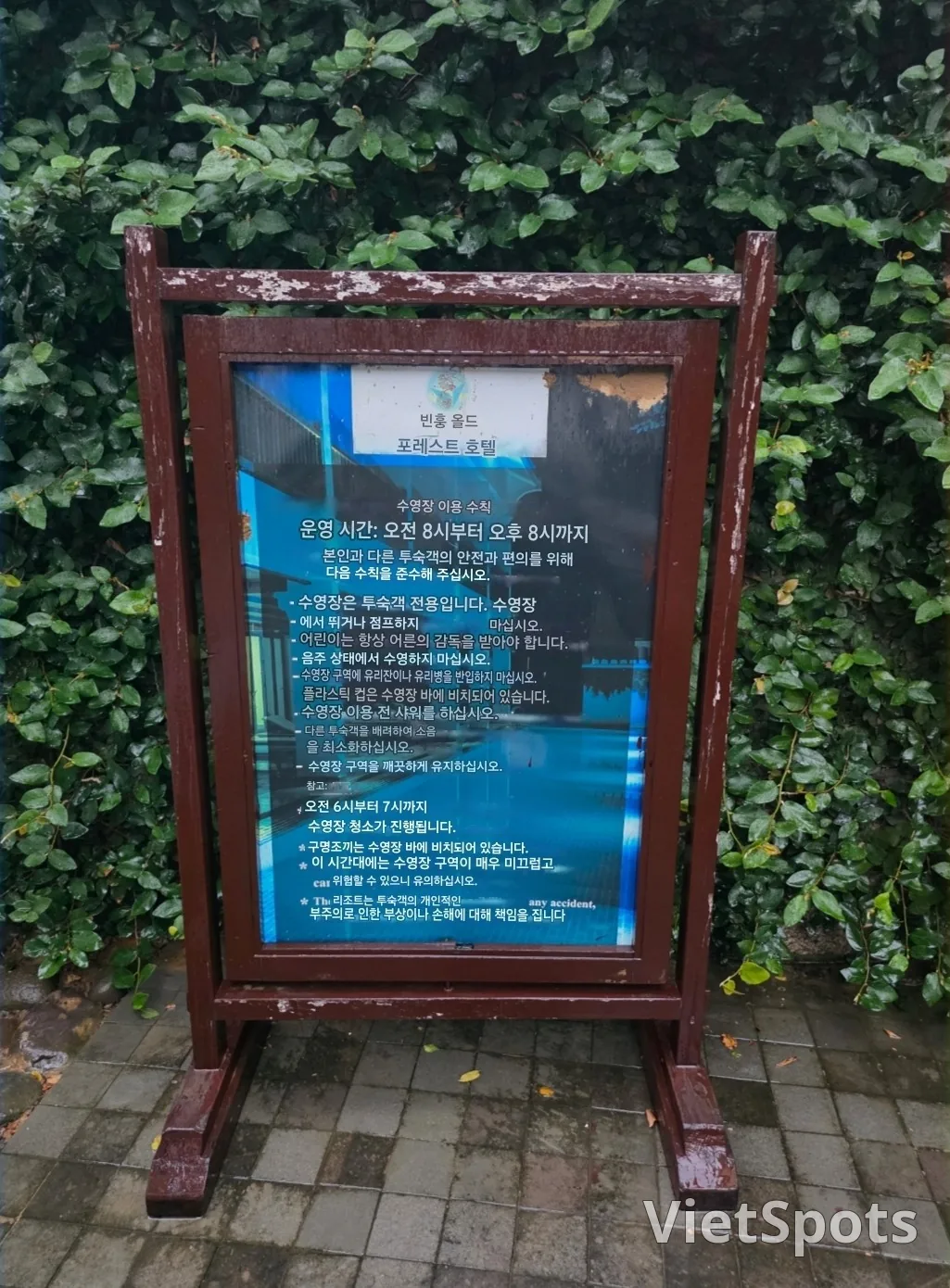 🇻🇳 Chuyến du lịch Đà Nẵng của gia đình ba thế hệ_ Chỗ ở giá hời ở Hội An! Hồ bơi khách sạn Vinh Hung Old Town Hotel