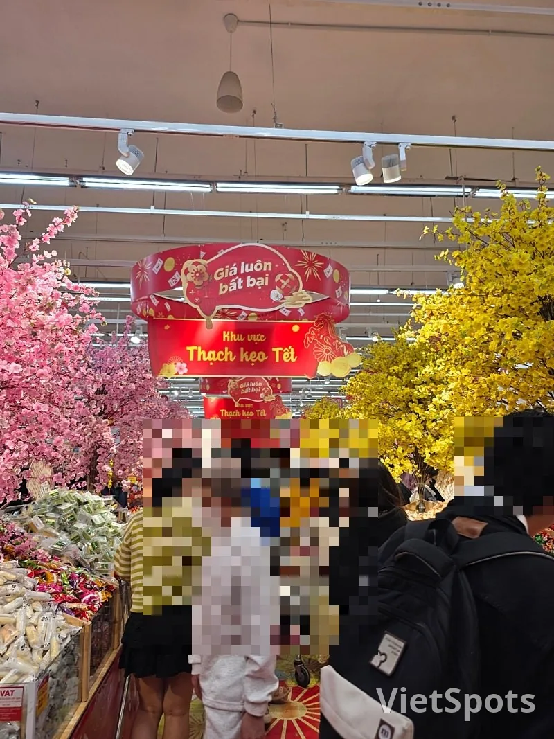 🇻🇳母女三人峴港之旅_ 春節氛圍達到頂峰！華麗的Go Mart