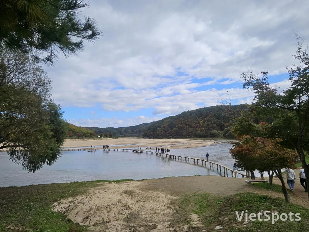 🇰🇷Oesinamu Bridge in Musum Village