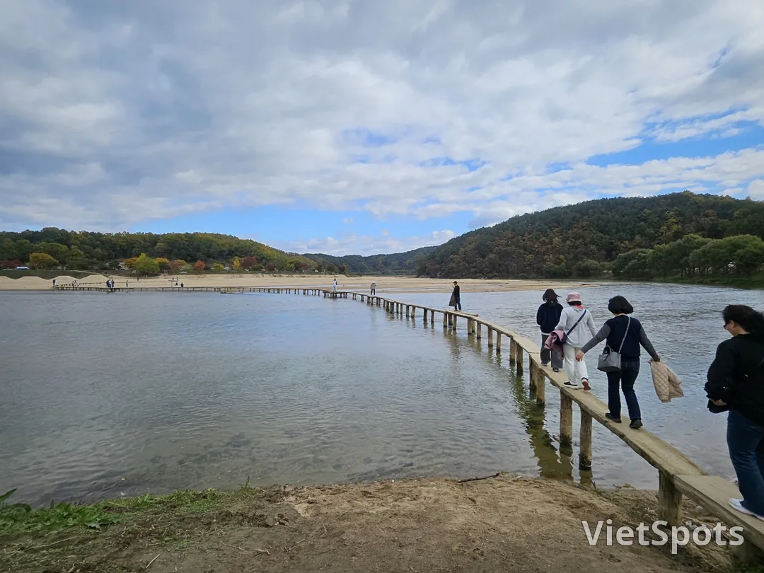 🇰🇷Oesinamu Bridge in Musum Village