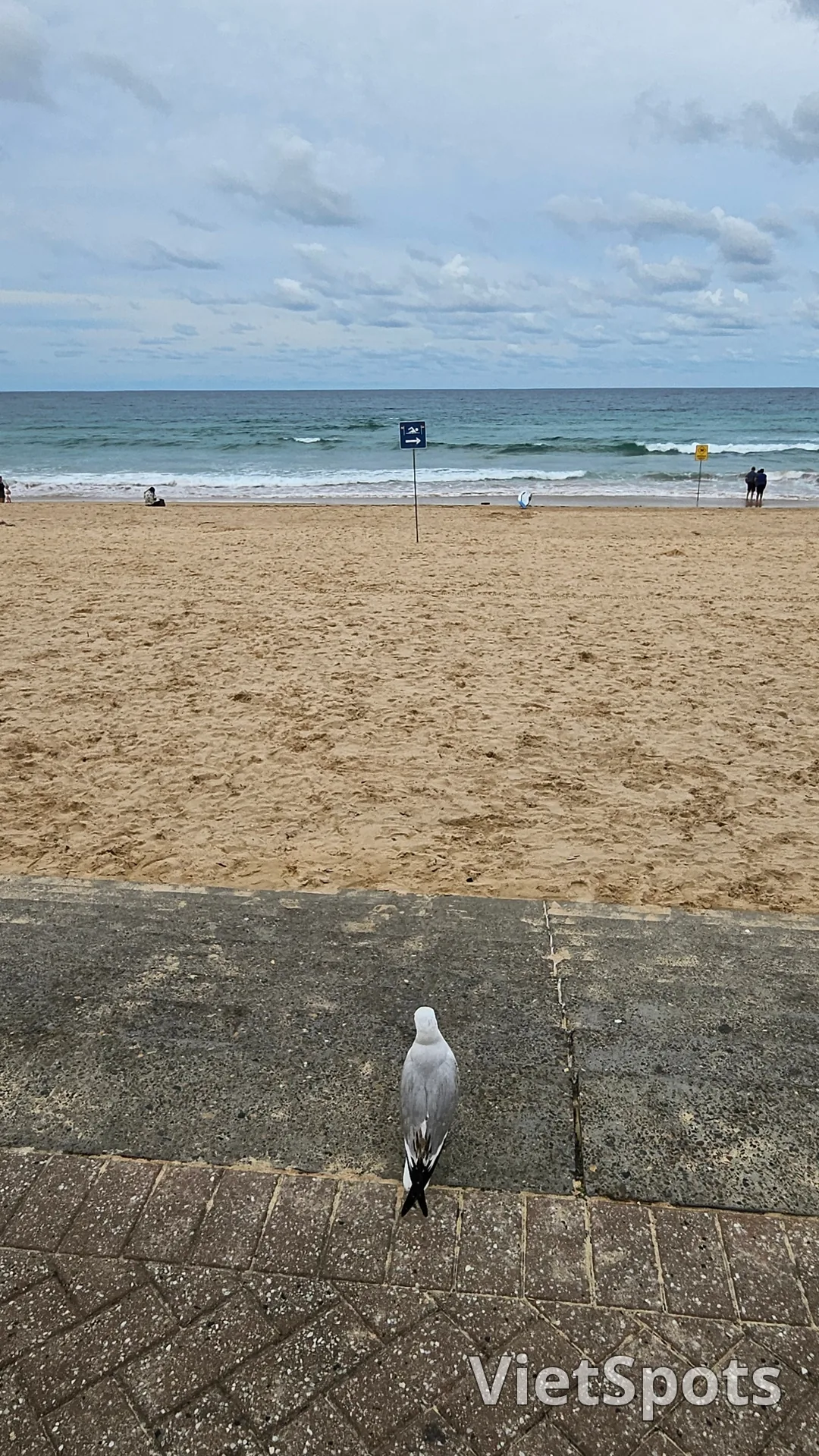 ๐ฆ๐บSydney healing spot, Manly Beach