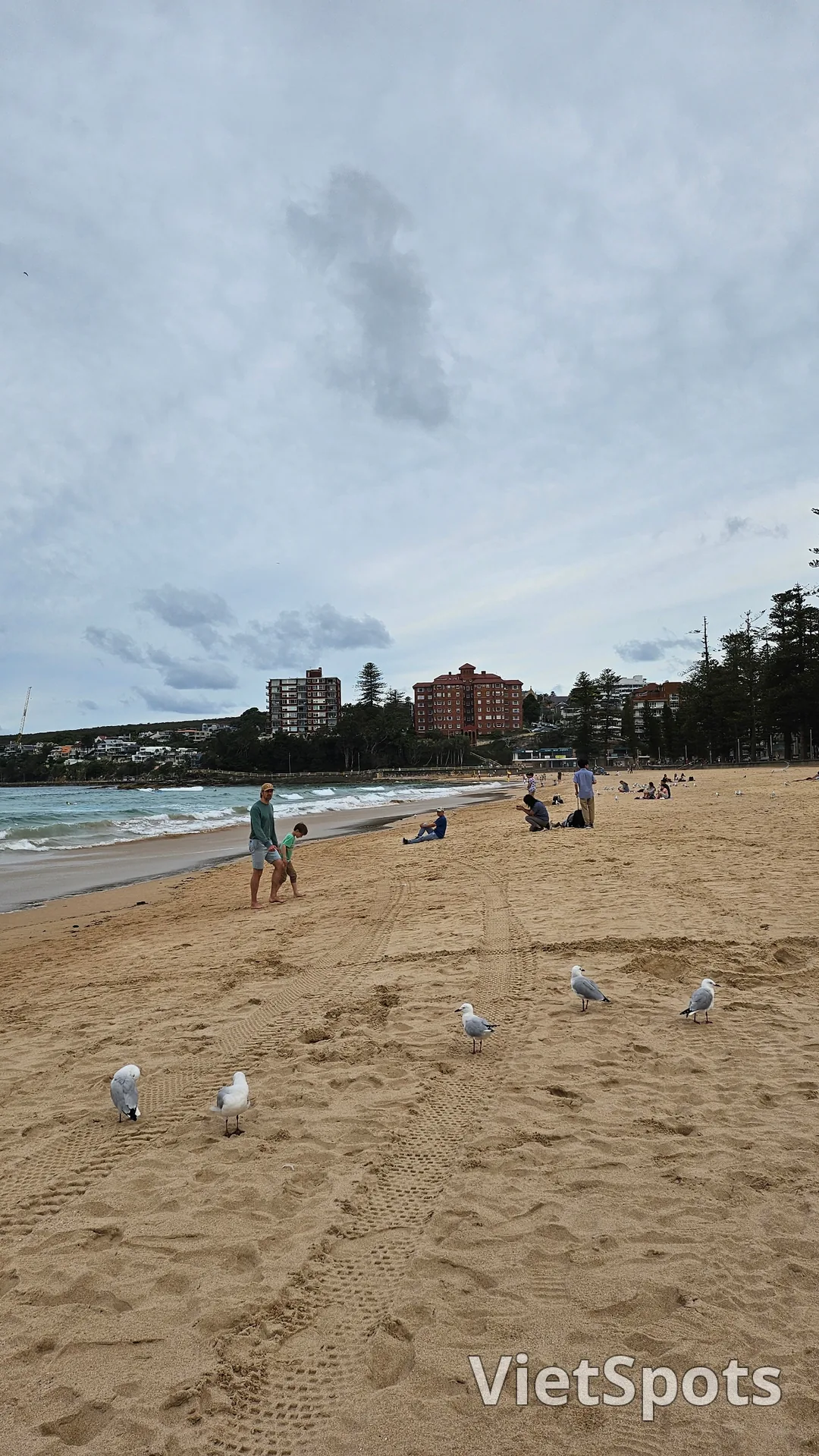 ๐ฆ๐บSydney healing spot, Manly Beach