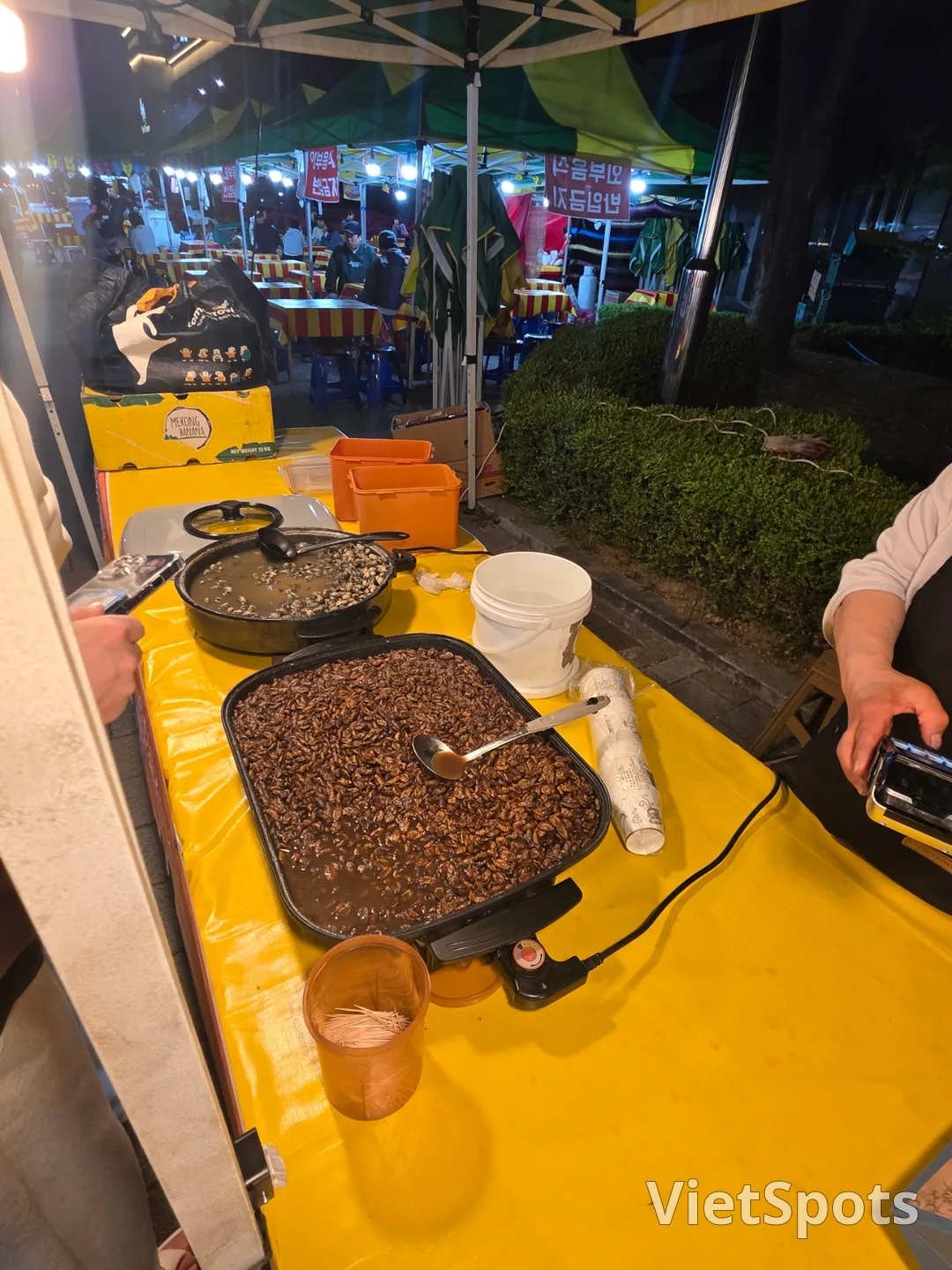夜市見物
