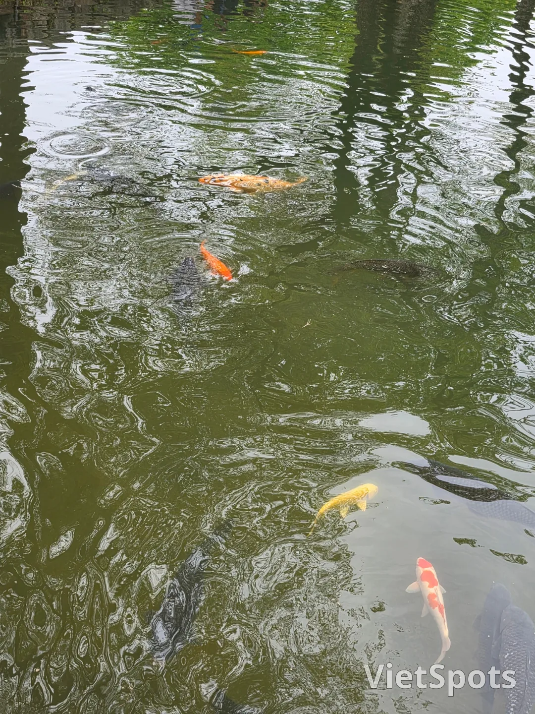 🇰🇷来到了南原春香祭