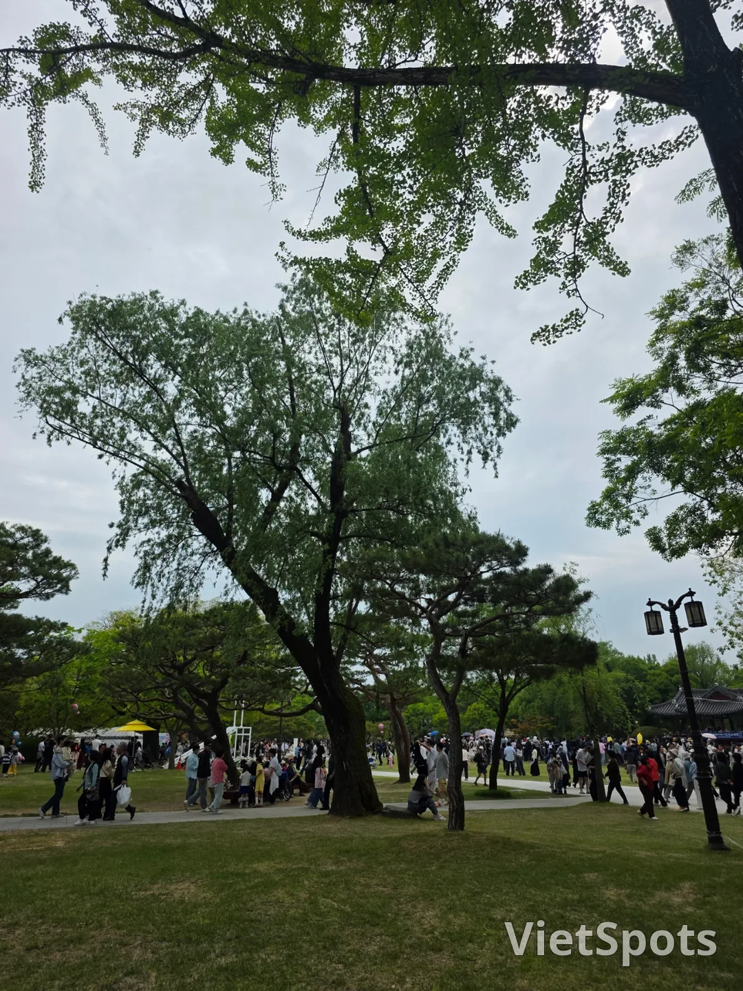 🇰🇷来到了南原春香祭