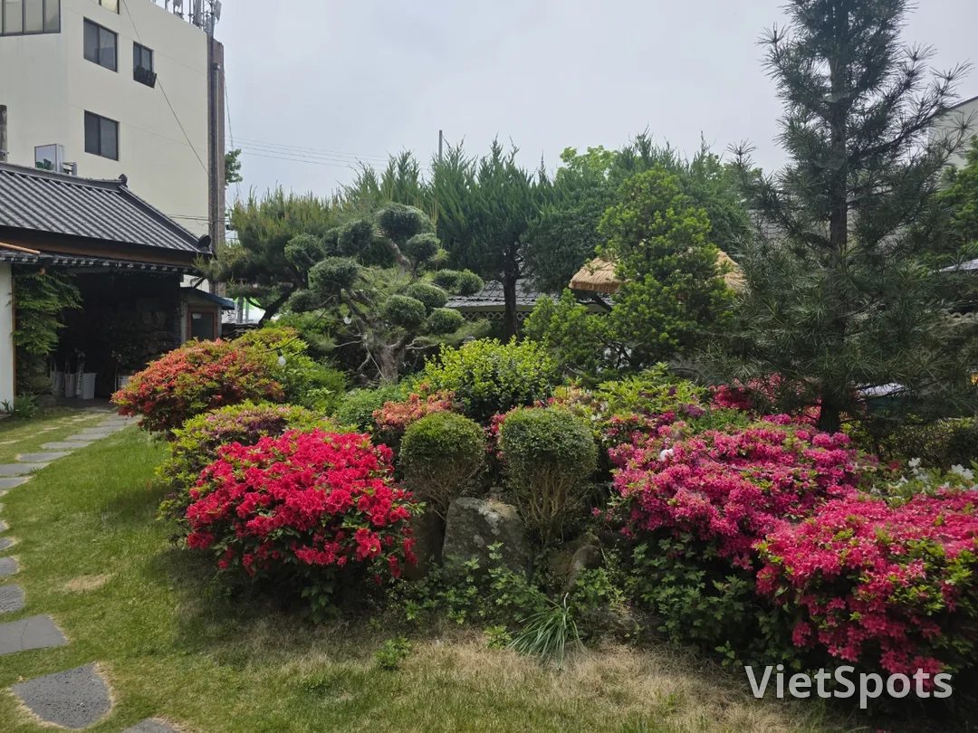 🇰🇷 南原雙花茶名店,兜阿萊韓屋咖啡廳