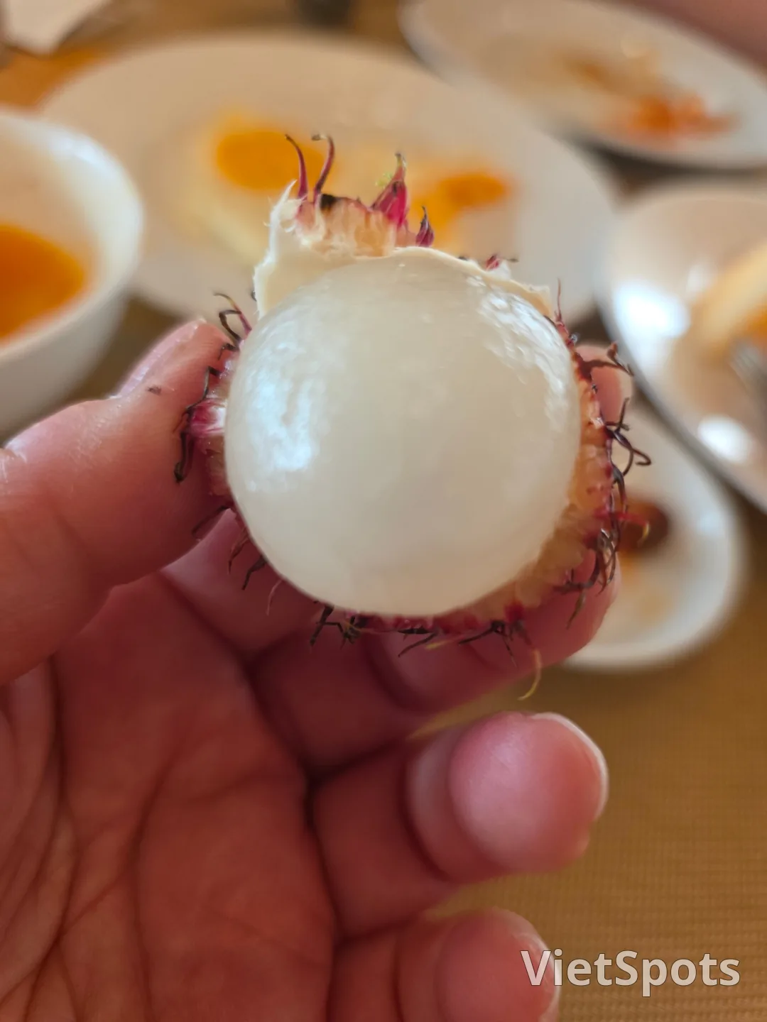 🇻🇳[新罗Monogram岘港] 从早餐到氛围都完美的用餐体验