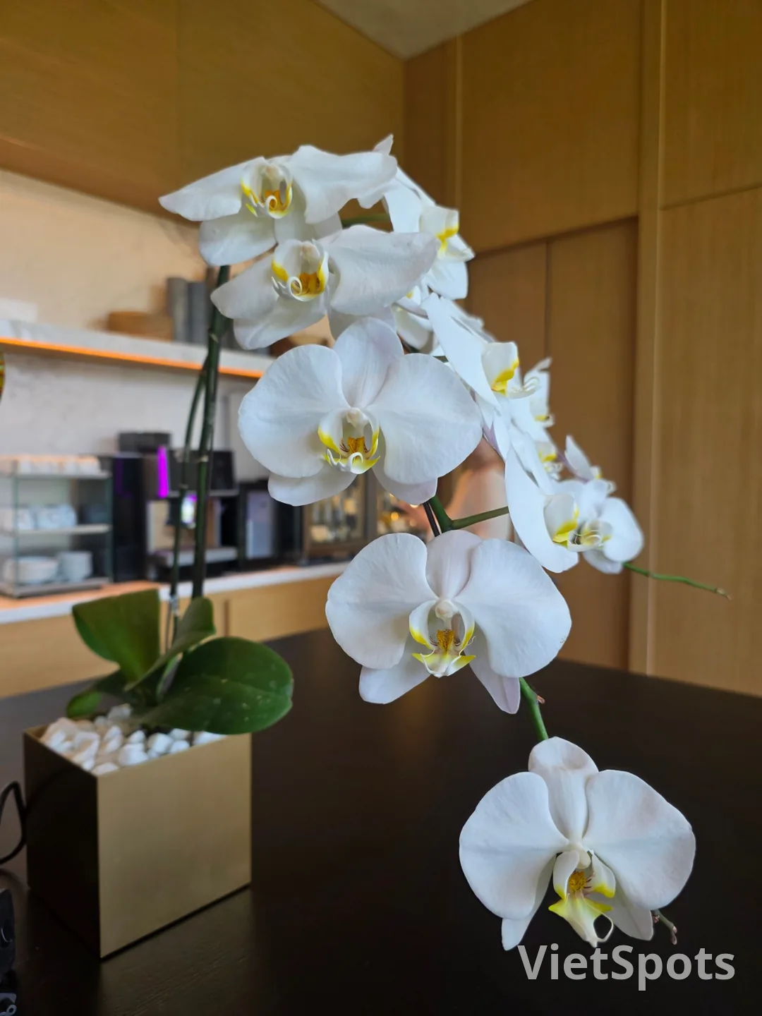 🇻🇳[Shilla Monogram Danang] Amenities_A quiet and elegant healing space, Monogram Lounge