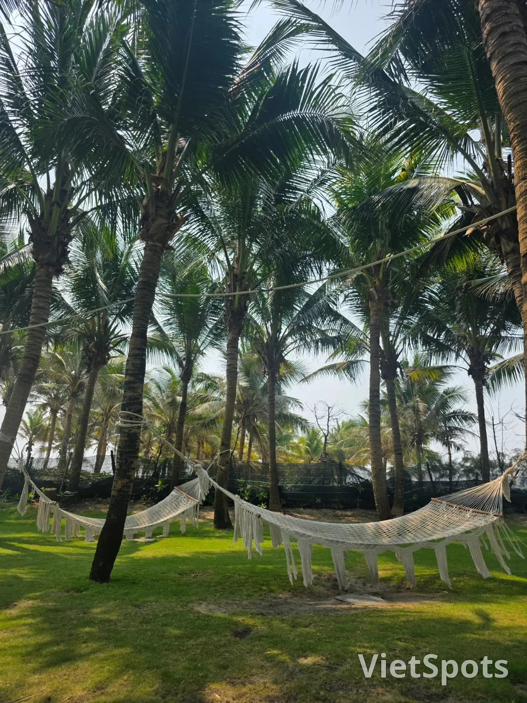 🇻🇳[Shilla Monogram Đà Nẵng] Hoạt động_ Từ bãi biển đến lớp học yoga!!👍