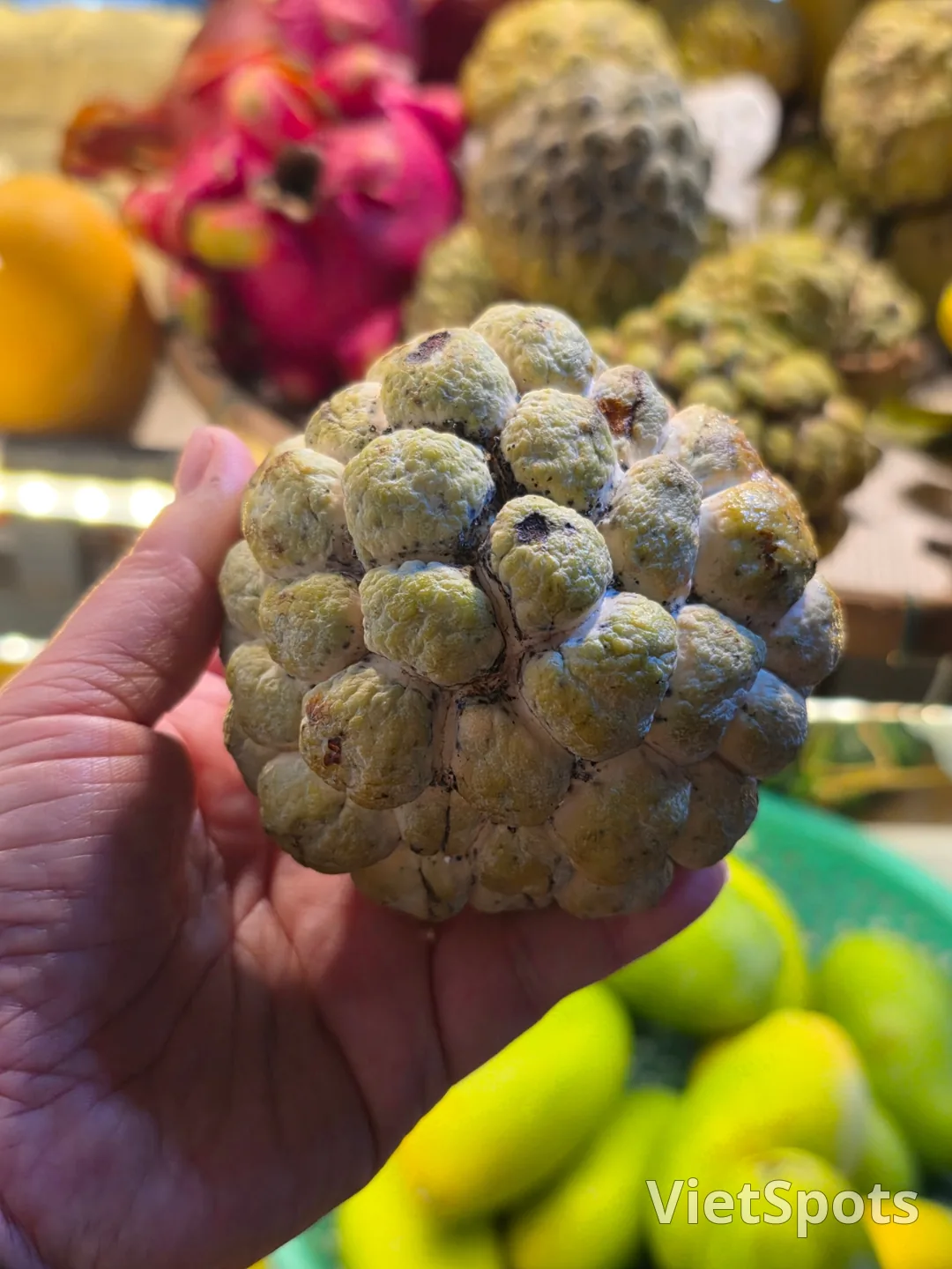 🇻🇳[ダナン ファムツアー裏話] ずっと思い出すダナンの味...ご近所さんたちと一緒に楽しんだフルーツパーティー🤤