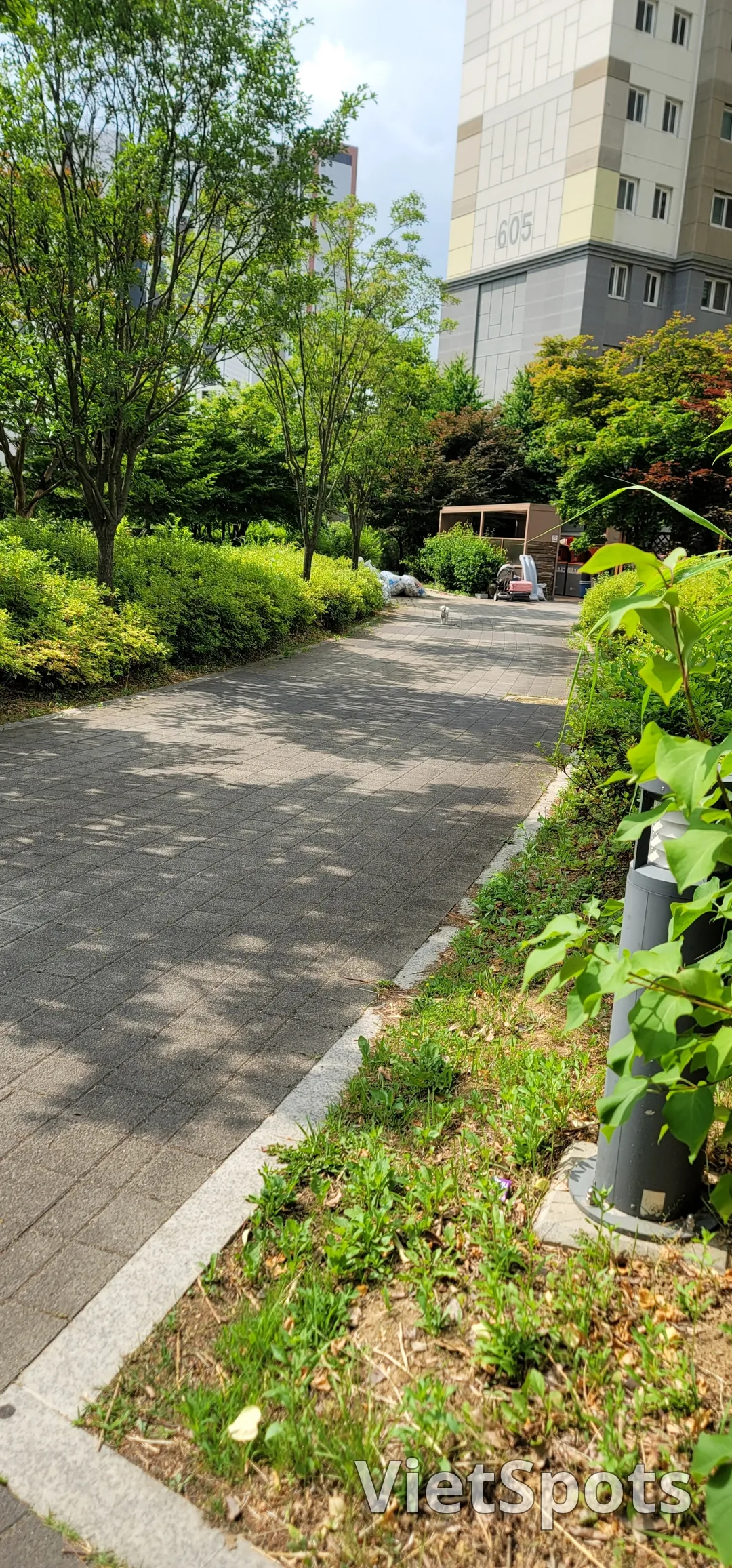 立正姿势