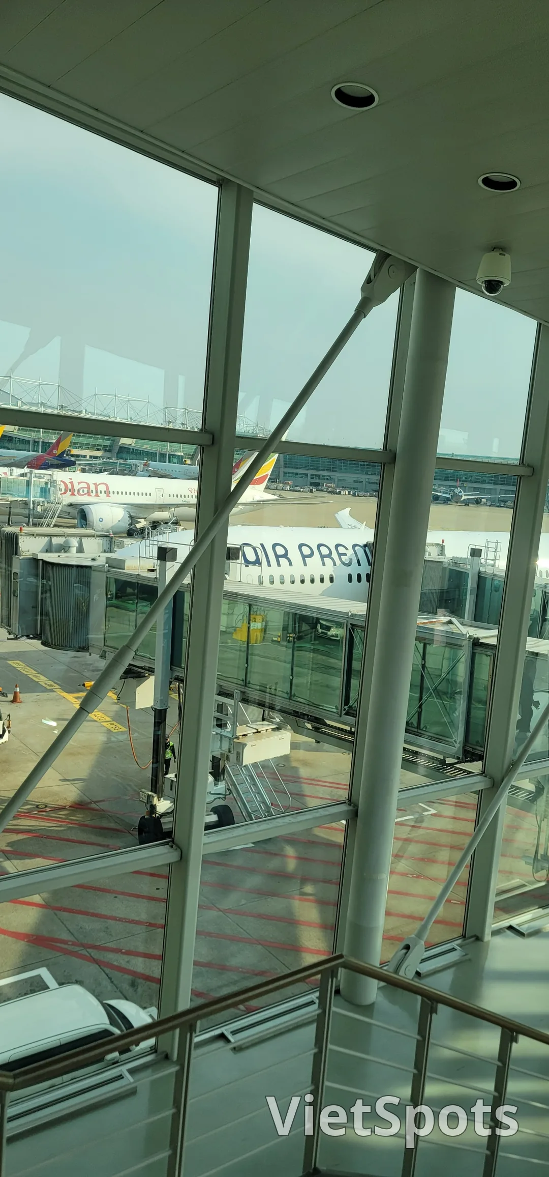 ✈️Bài review chuyến đi Đà Nẵng) Tôi đã thử bay Air Premia đấy.