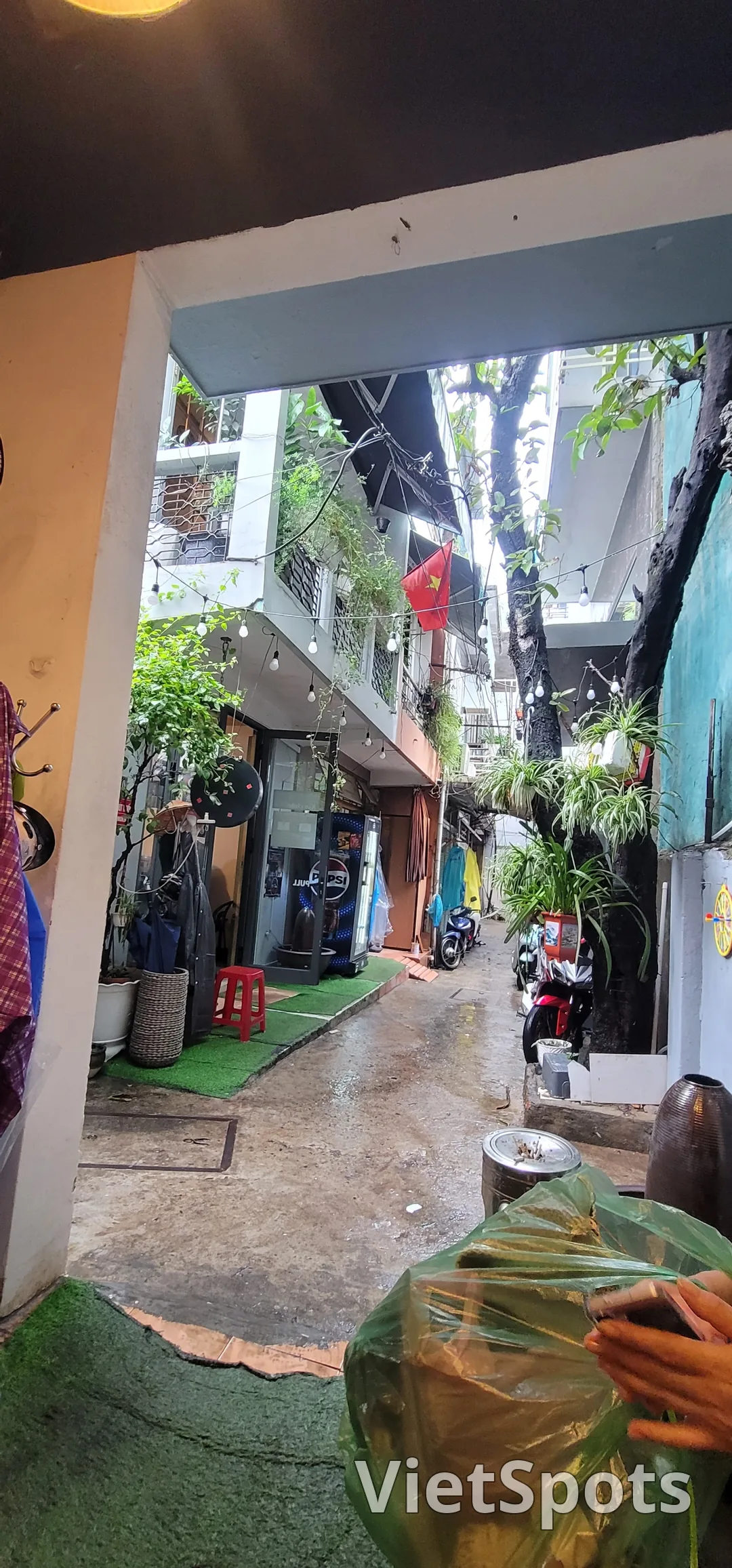 ✈️Review) Quán bánh mì trứng ngon - Bánh Mì Cô Tiên