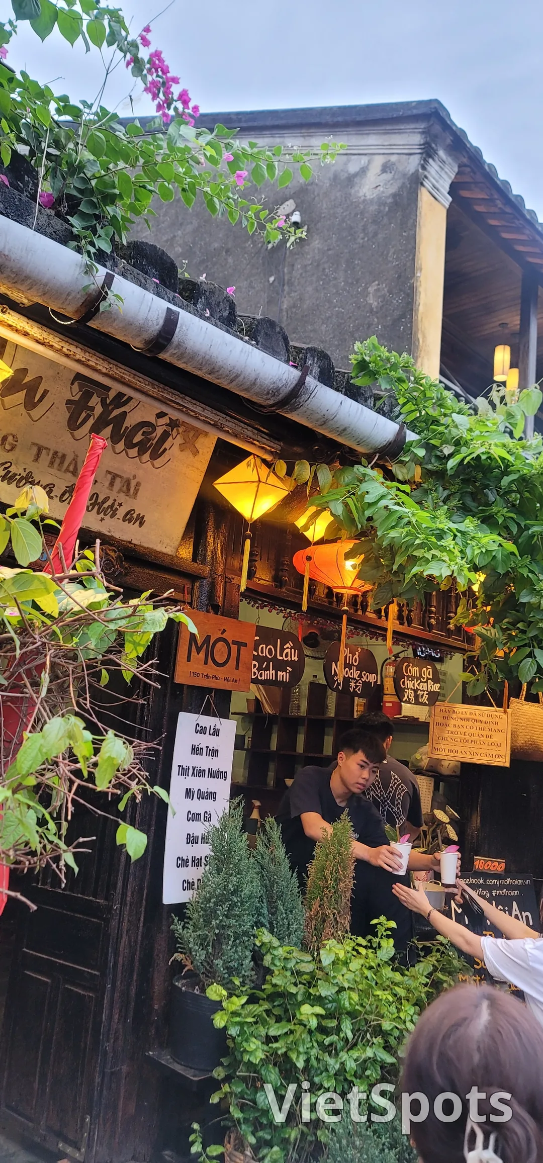✈️รีวิว) ร้าน MOT คาเฟ่ ฮอยอัน - ชากลีบดอกบัว