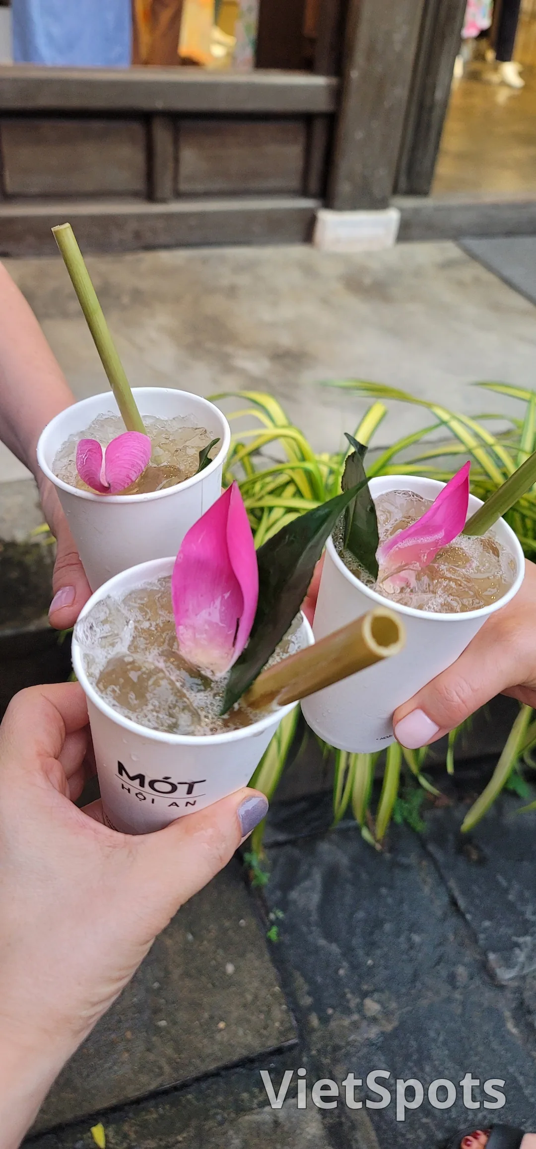 ✈️รีวิว) ร้าน MOT คาเฟ่ ฮอยอัน - ชากลีบดอกบัว