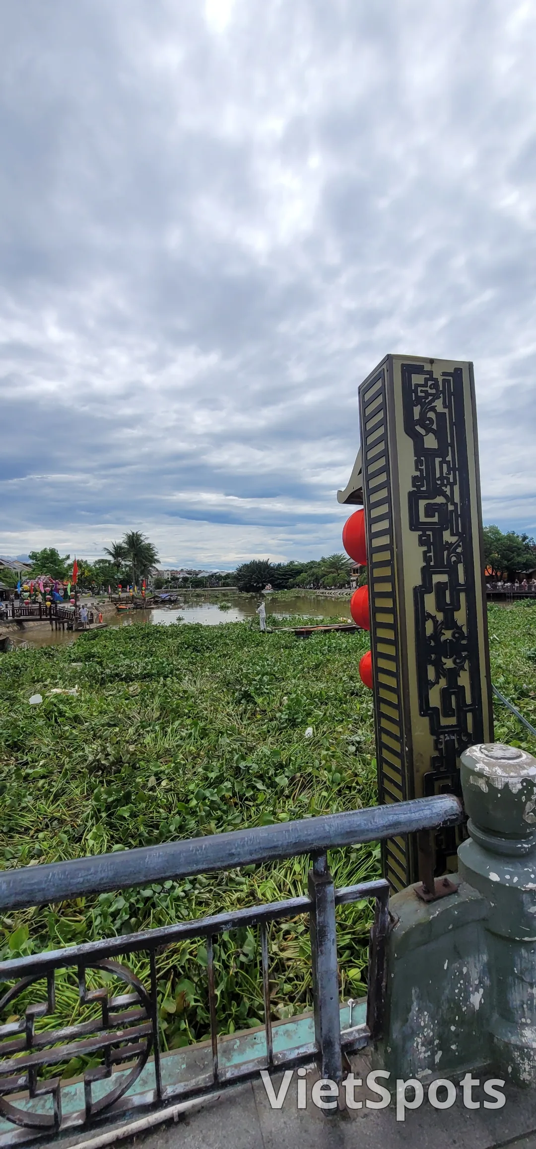 ✈️游记）顺着会安秋盆河漂流而下的那些水草丛