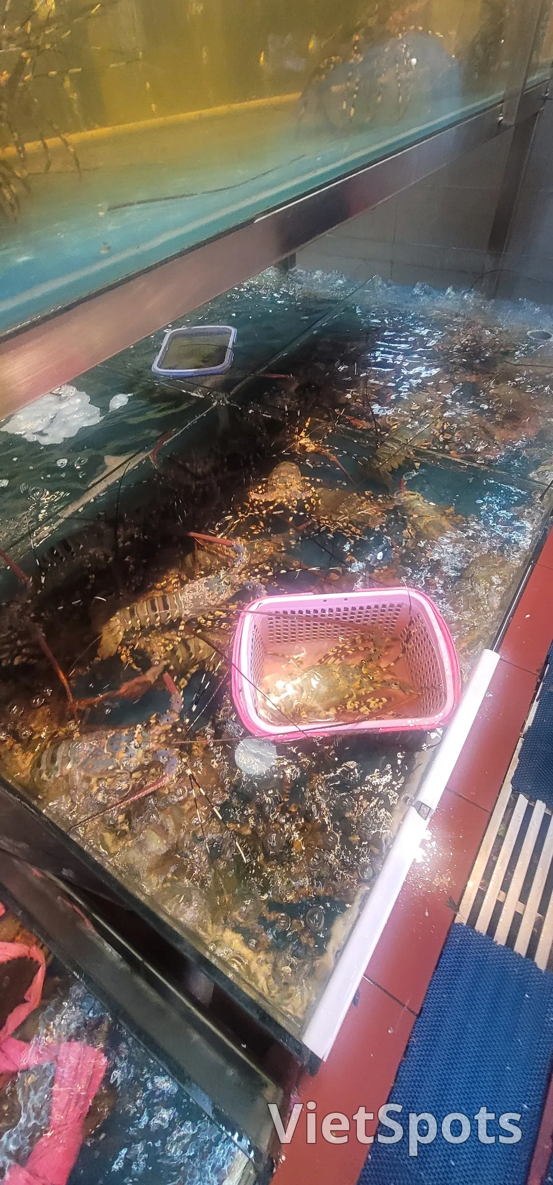 ✈️Review) A place I visited because I wanted to eat seafood