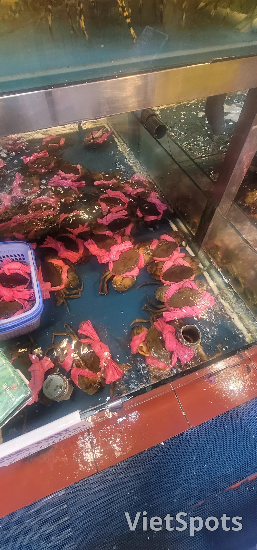 ✈️Review) A place I visited because I wanted to eat seafood
