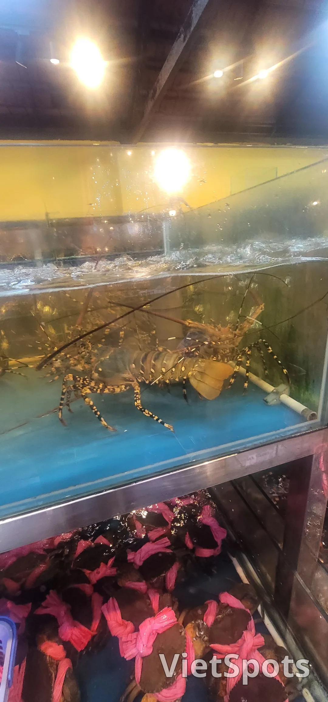 ✈️Review) A place I visited because I wanted to eat seafood
