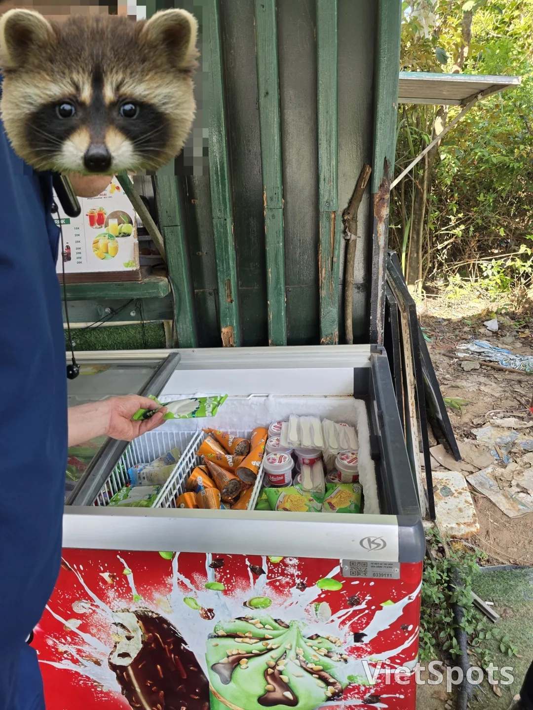 후기)▶️✍️선짜반도뷰맛집-다낭전망대