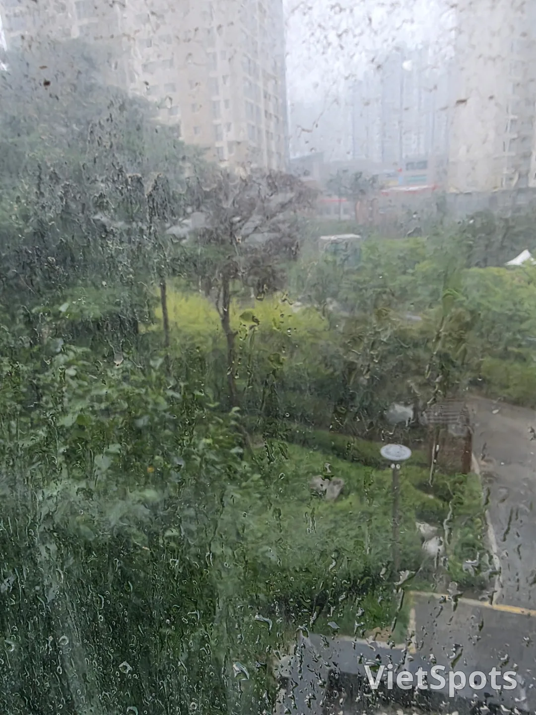 大雨が降っています。