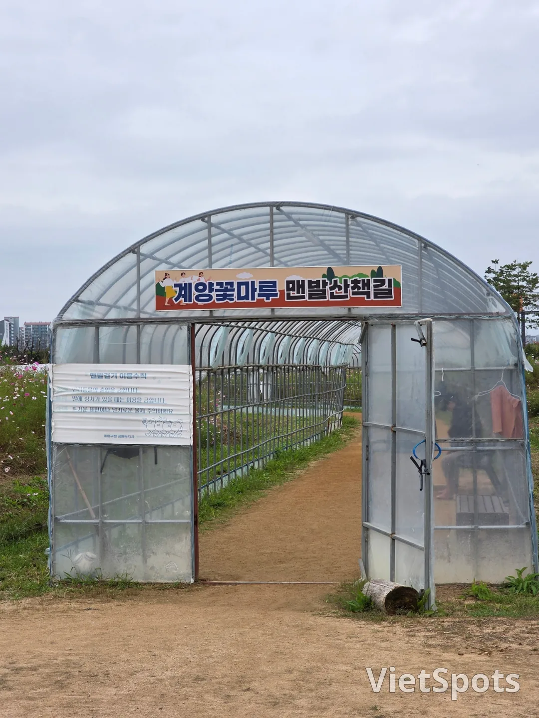 ท่องเที่ยว) เคยาง ฮวามารู (เนินดอกไม้เคยาง)