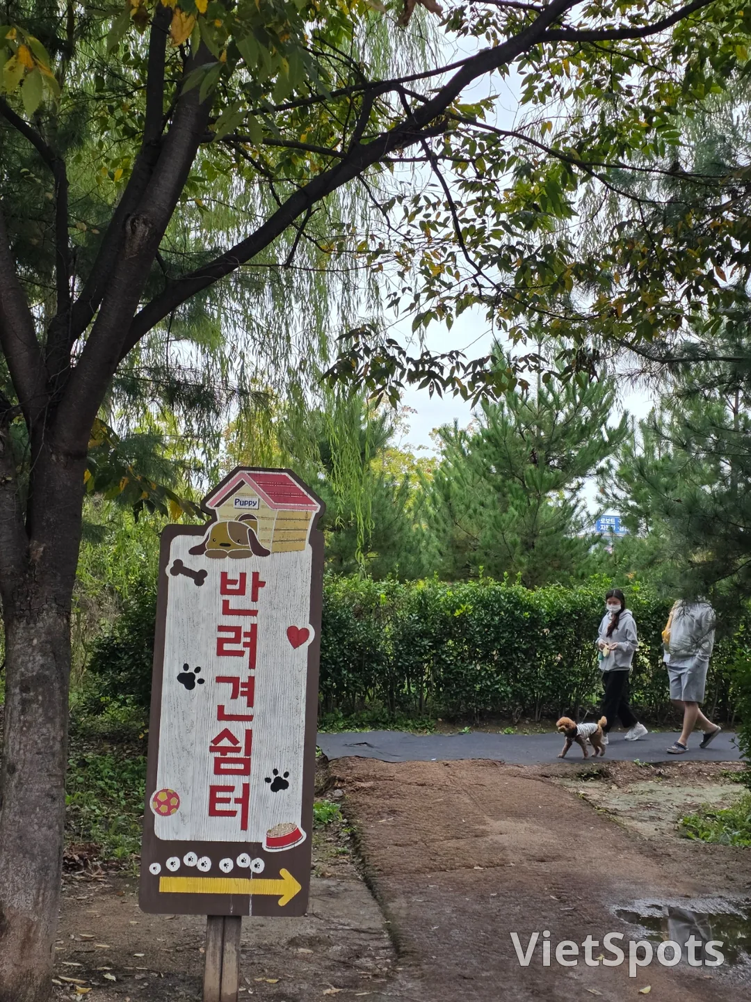 ท่องเที่ยว) เคยาง ฮวามารู (เนินดอกไม้เคยาง)