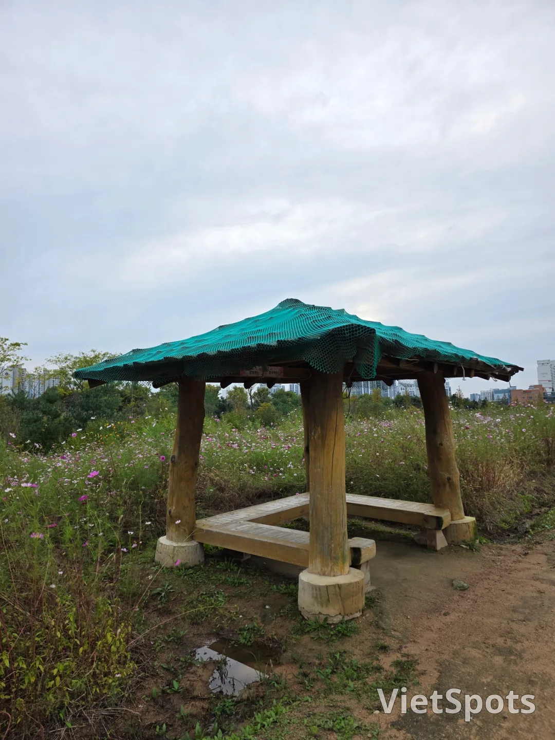 ท่องเที่ยว) เคยาง ฮวามารู (เนินดอกไม้เคยาง)