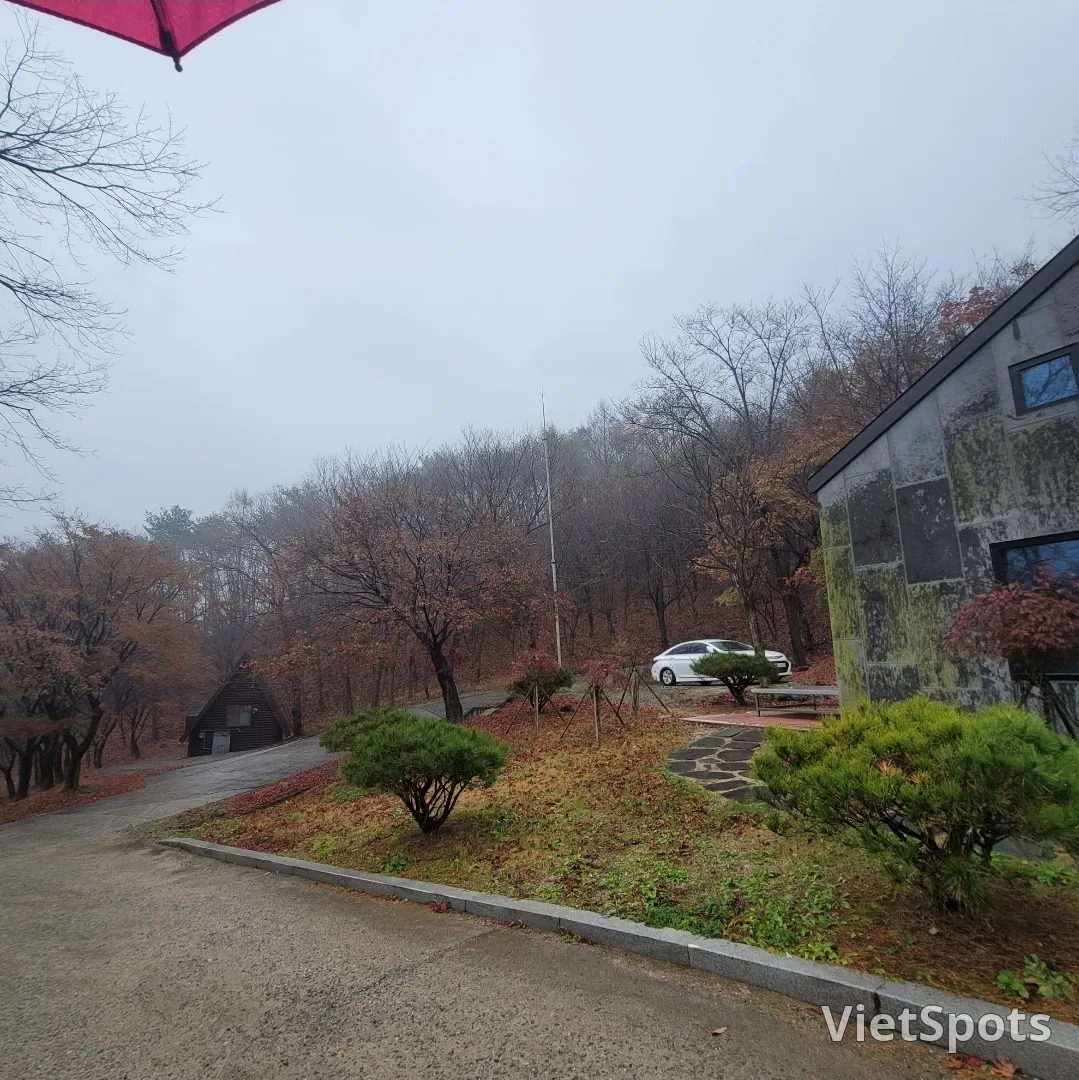 旅行)凤凰自然休养林