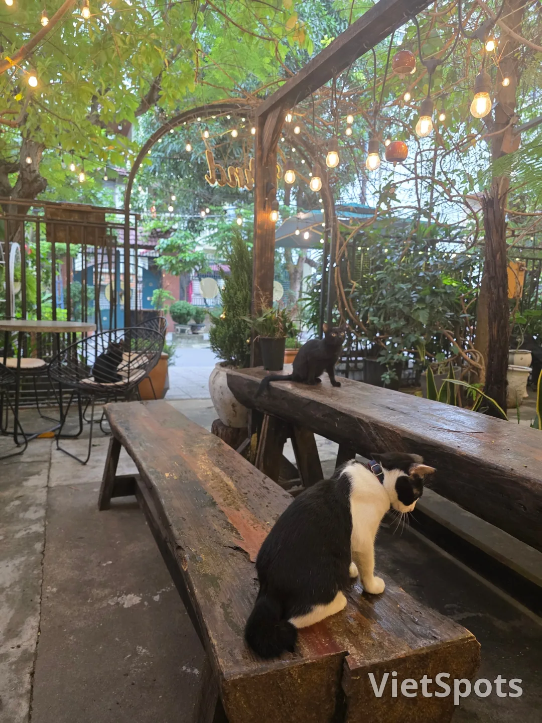 ✈️ 又去的那家店 - 溫德花園(Wind Garden)咖啡廳