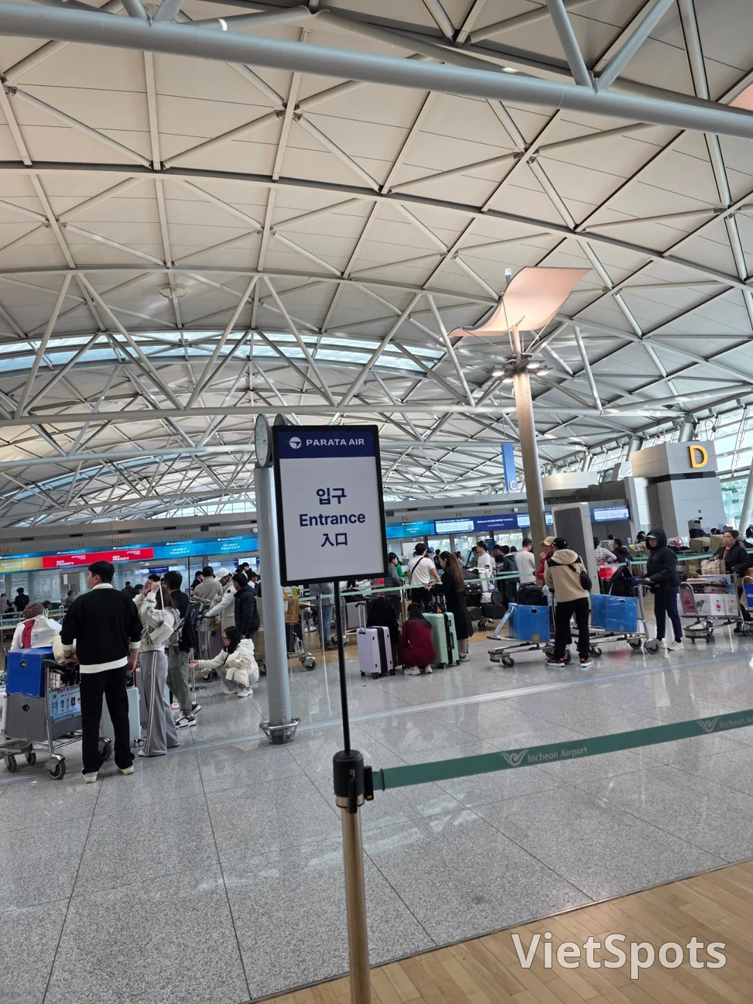 ✈️ 帕拉塔航空點評